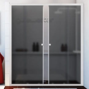 SHAPE DOOR GK-864 белый матовый стекло графитовое матовое