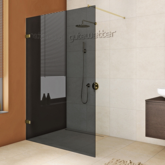 TREND DOOR GK-861NAITL золотой металлик стекло графитовое