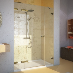 Дверь в душевую нишу TREND DOOR GK-863