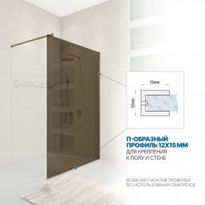 Инфографика 3 WALK-IN P008STB бронзовый стекло бронзовое